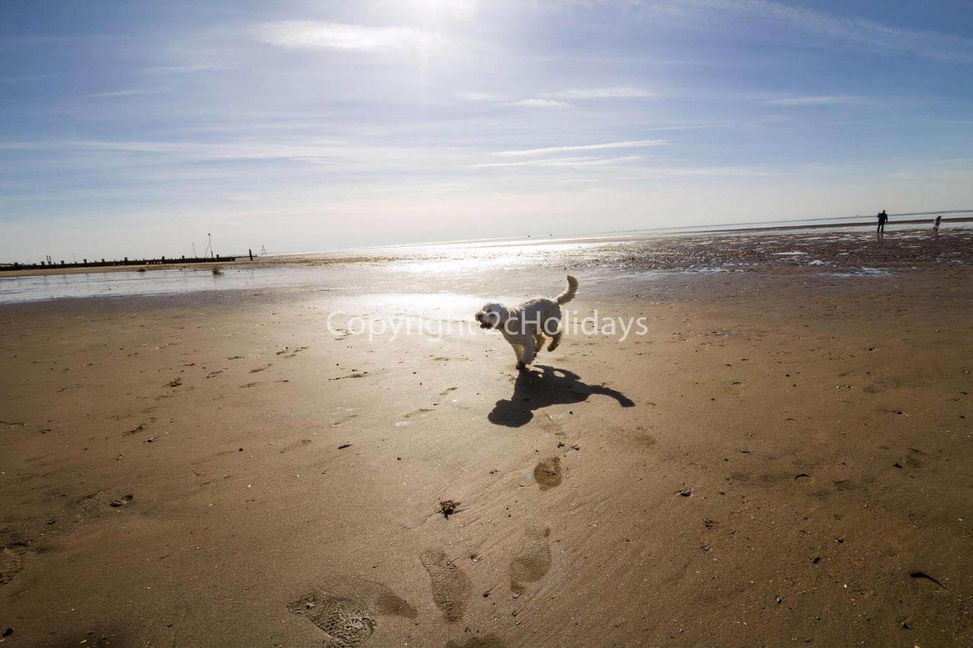 5 Berth Dog Friendly Lodge In Hunstanton By The Beach Ref 13015Rn Exterior foto